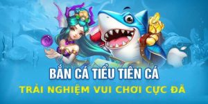 bắn cá tiểu tiên cá 8kbet